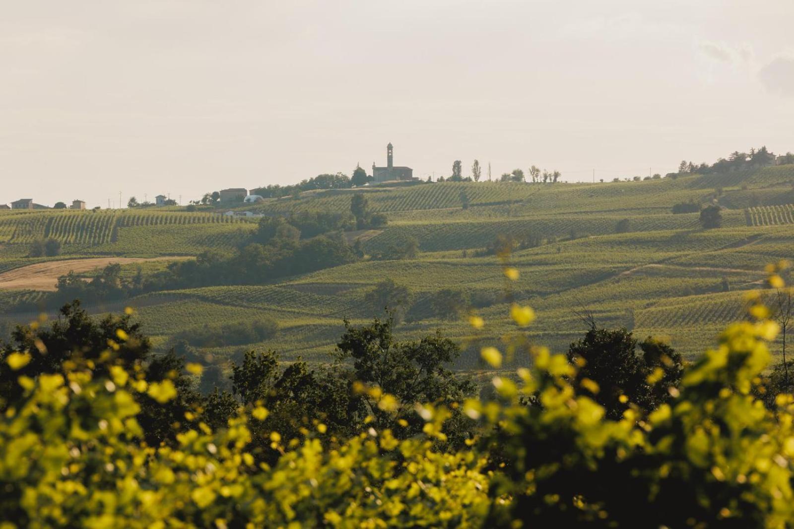 Agriturismo Bosco Longhino Santa Maria della Versa Kültér fotó