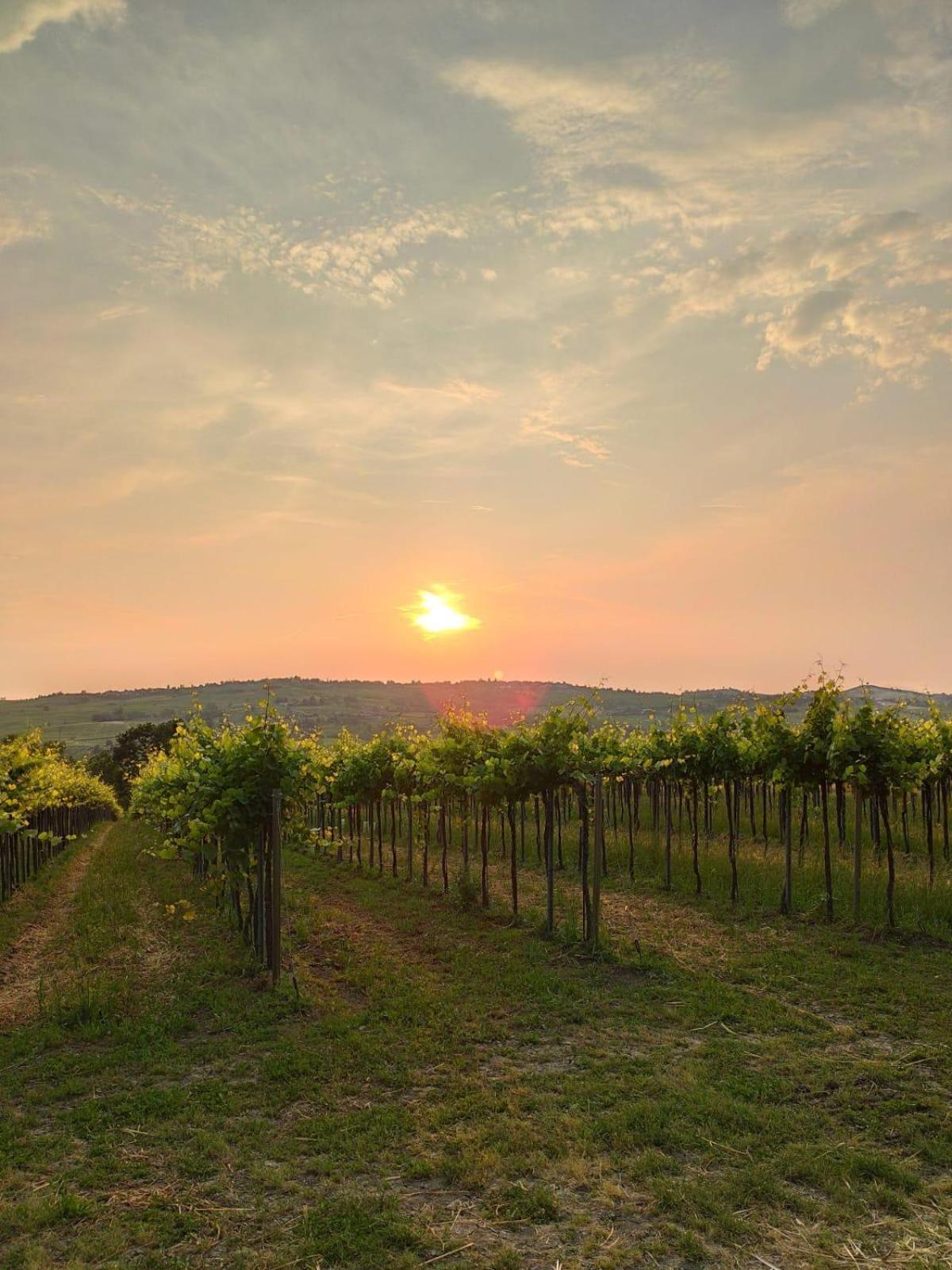 Agriturismo Bosco Longhino Santa Maria della Versa Kültér fotó